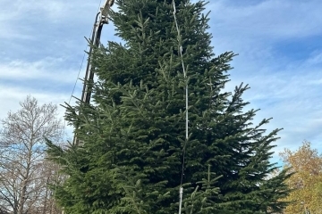 Кметът Пенчо Милков ще запали светлините на коледната елха на 4 декември