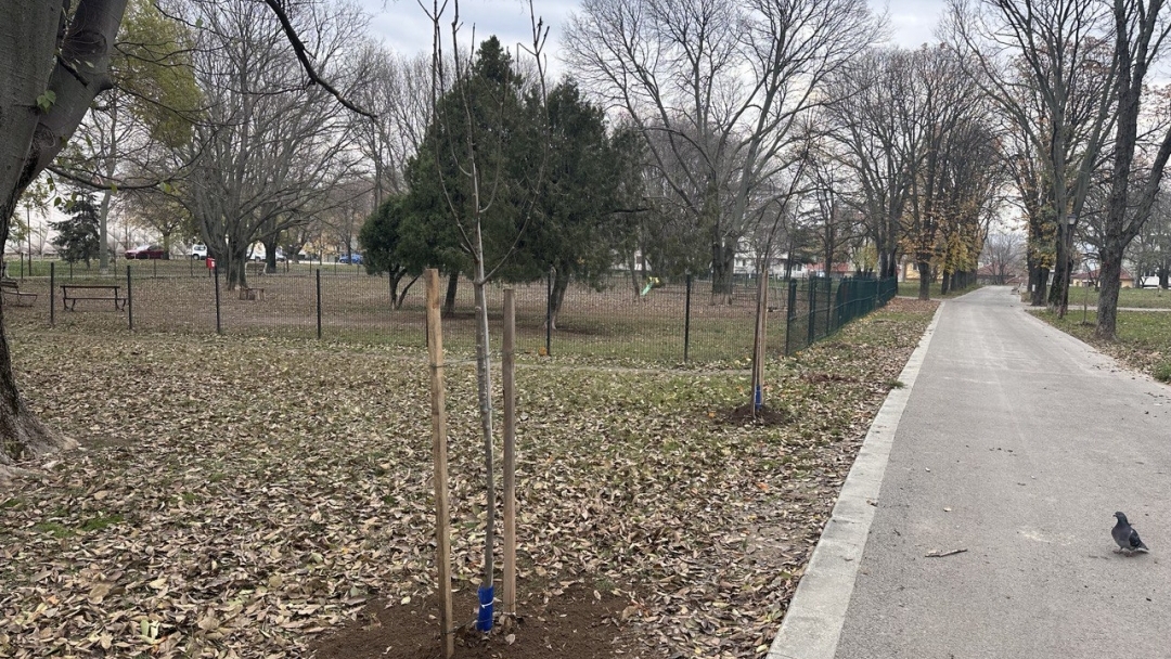 Нови 20 дръвчета бяха засадени в Парка на възрожденците