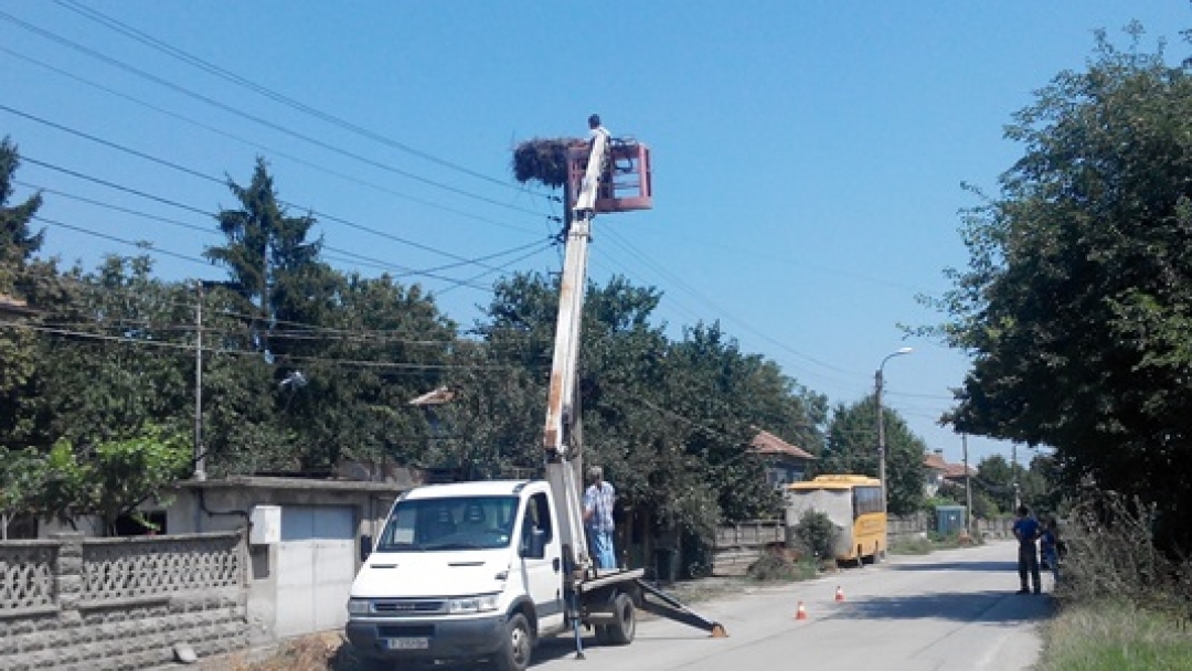 В Николово спасиха щъркел