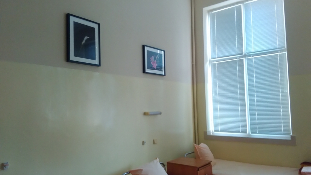 50 снимки на ученици красят стаи в Тубдиспансера