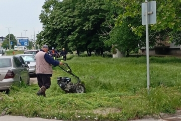Общинските екипи продължават дейностите по косене на тревните площи в Русе