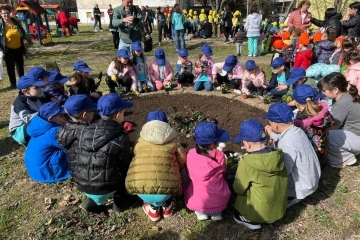 Еко инициативата “Да засадим бъдещето” облагороди двора на ДГ “Снежанка”