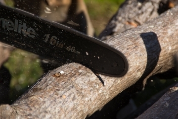 Премахване на сухи дървета затваря временно две улици в Русе на 2 юли