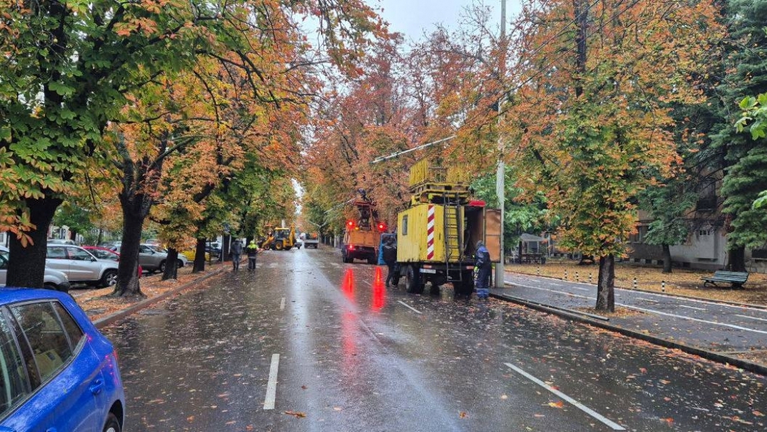 Екипи на общинските предприятия и Пожарната служба работят по сигнали за паднали дървета и аварии