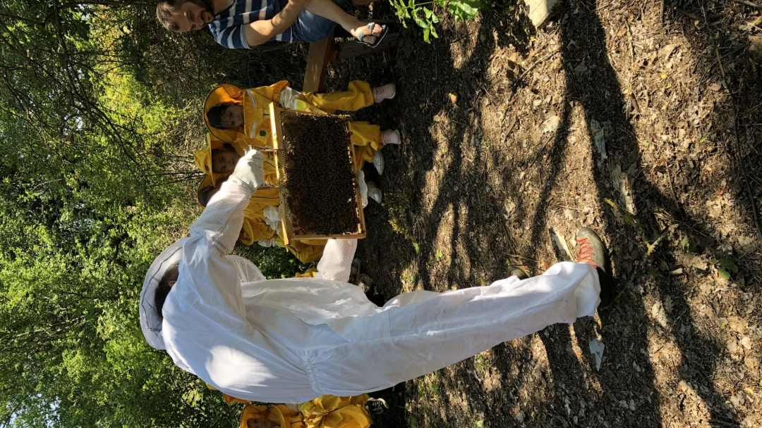 Детска бригада се посвети в тънкостите на градинарството и пчеларството