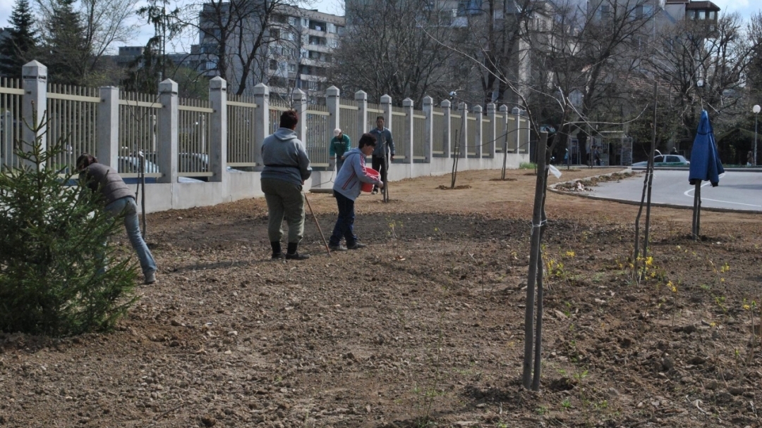 Озелениха новия паркинг в центъра на Русе