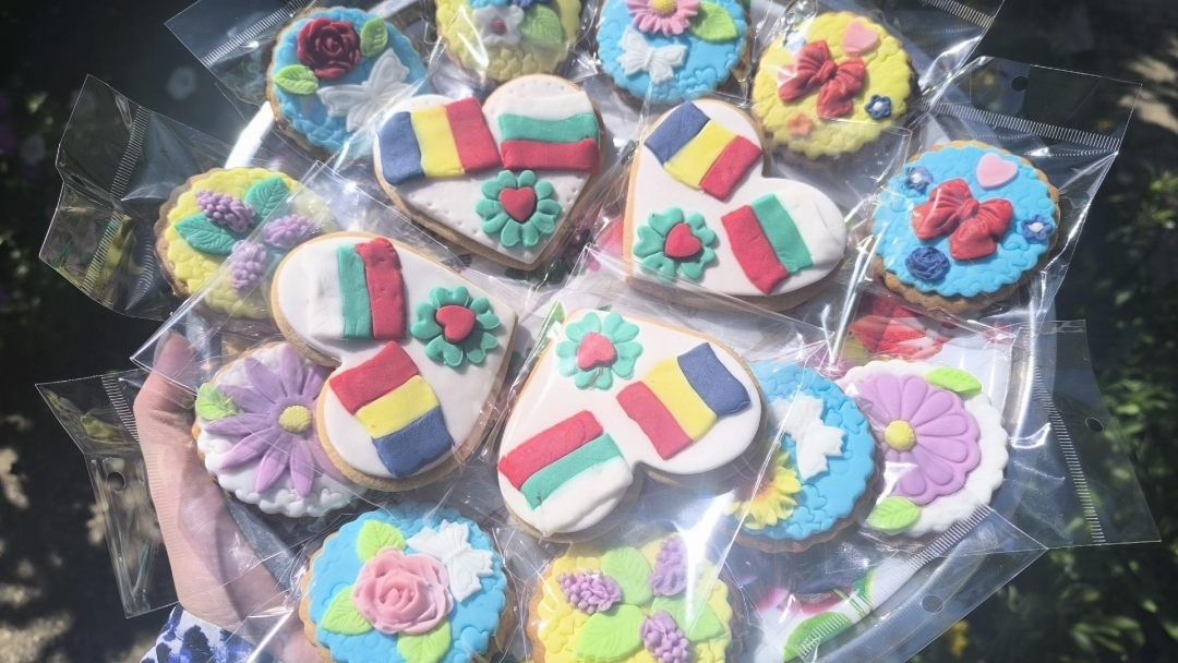 The Mental Health Center in Ruse presented its integrated care model to Romanian specialists