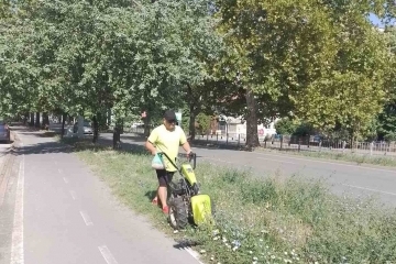 Общинските екипи продължават дейностите по косене на тревните площи в Русе