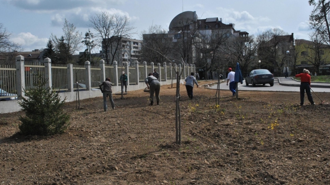 Озелениха новия паркинг в центъра на Русе