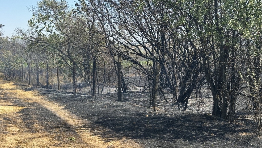 Критичната ситуация с пожара в с. Николово е овладяна, продължава гасенето в отделни участъци