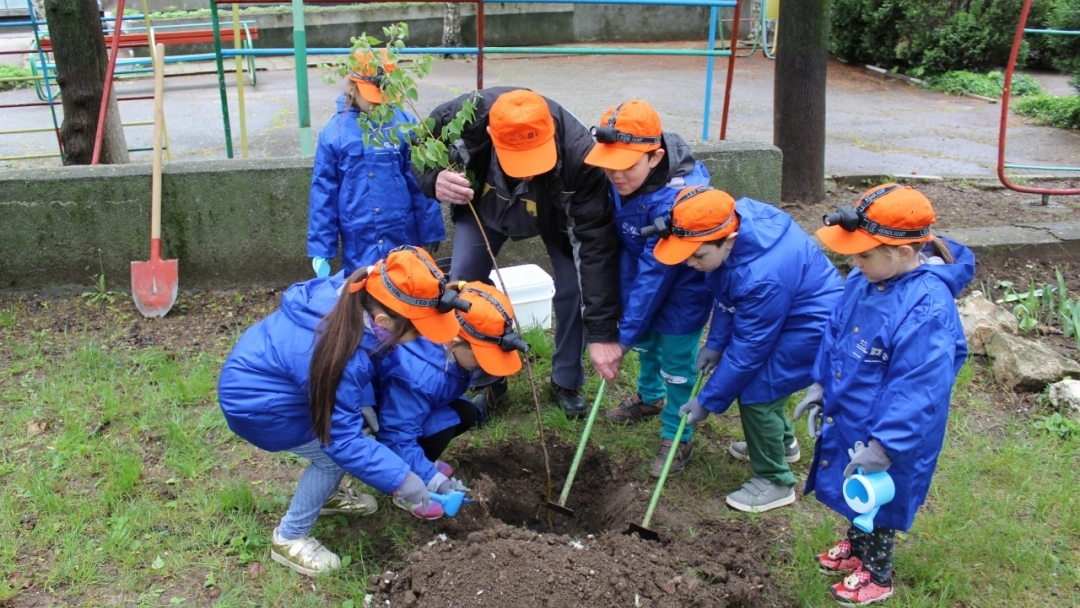 Малчугани от детски градини участваха в зелена мисия