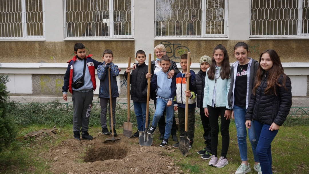 Още 48 дръвчета са засадени днес в русенски училища