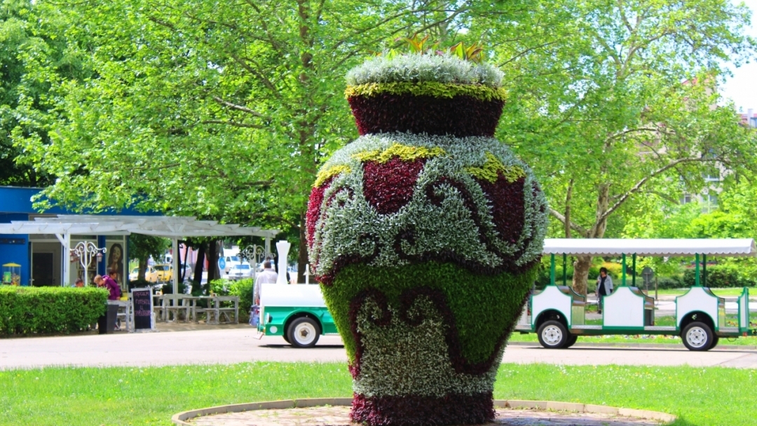 30 000 цветя красят един от символите на Русе – вазата в Парка