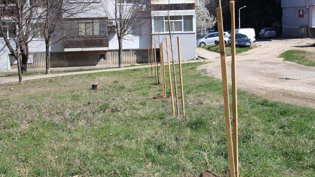 People from Ruse planted young trees in Ruse district. "Drujba 1"