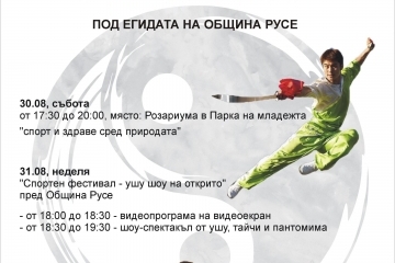 Два дни семеен спортен фестивал на открито с ушу, тайчи и пантомима