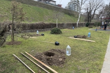 Инициатива за засаждане на дръвчета събра деца и родители на кея в Русе