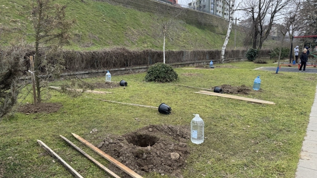 Инициатива за засаждане на дръвчета събра деца и родители на кея в Русе