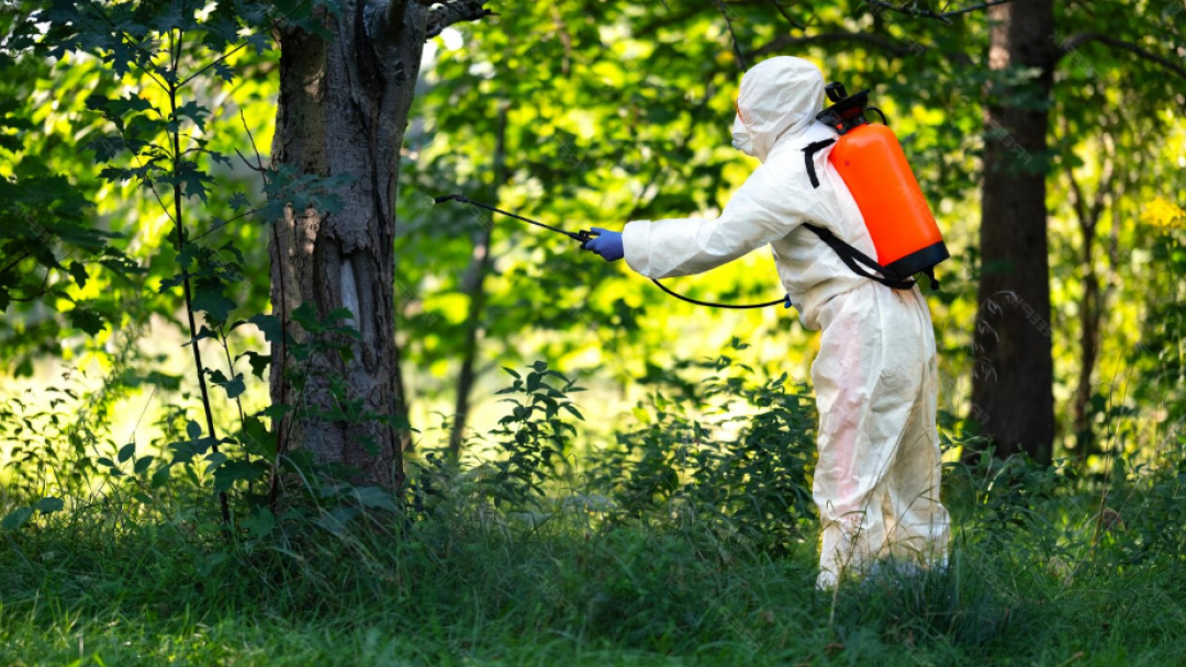 От утре започват пръскания срещу кърлежи в Русе