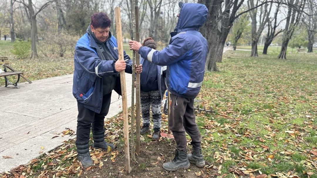 Нови 20 дръвчета бяха засадени в Парка на възрожденците