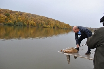 Езерото в лесопарка "Липник" беше зарибено с едри шарани