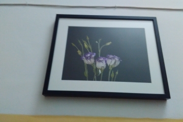 50 снимки на ученици красят стаи в Тубдиспансера