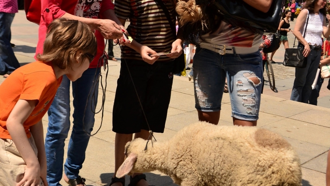 Великденско хоро събра стотици русенци в центъра на града 