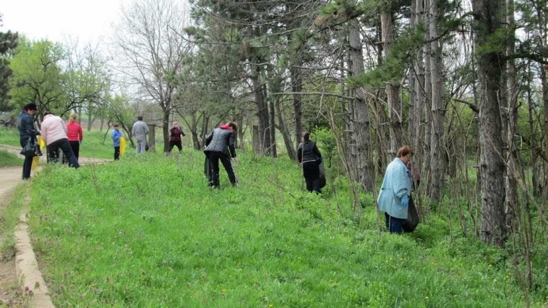 Над 5 500 русенци се включиха в кампанията «Да изчистим България за един ден»