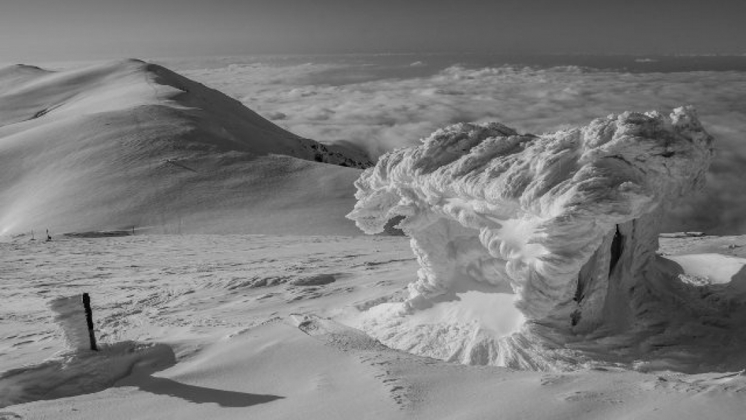 Първата самостоятелна фотоизложба на Николай Ковачев разказва красиви приказки