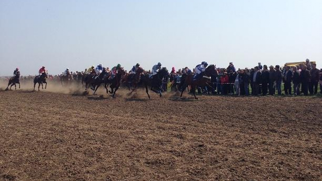 Близо 70 коня мериха сили в надпревара в село Сандрово