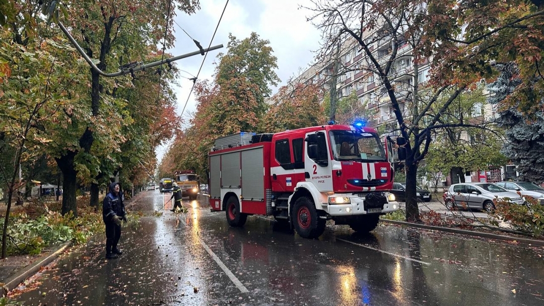 Екипи на общинските предприятия и Пожарната служба работят по сигнали за паднали дървета и аварии