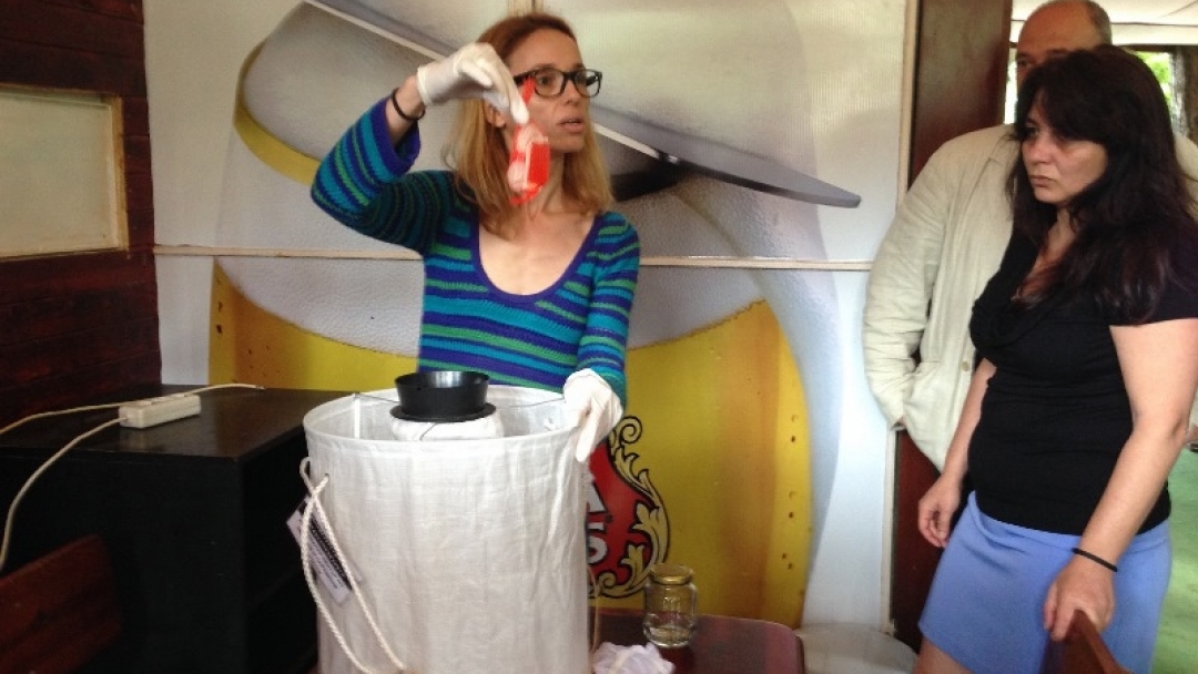 Община Русе чака доклад за популацията на комарите в Русе