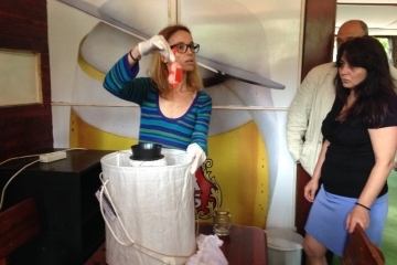 Община Русе чака доклад за популацията на комарите в Русе