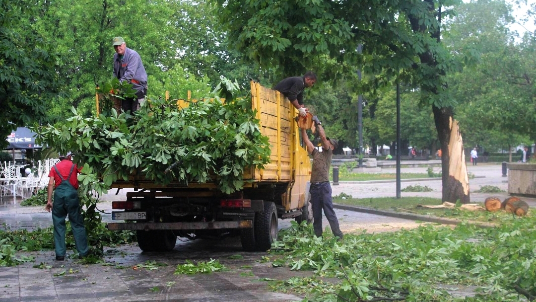 Продължава премахването на паднали от бурята дървета в целия град