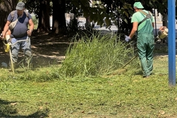 Общинските екипи продължават дейностите по косене на тревните площи в Русе 