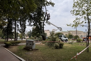 Премахване на изсъхнали дървета ще затвори част от площад „Свобода“ утре