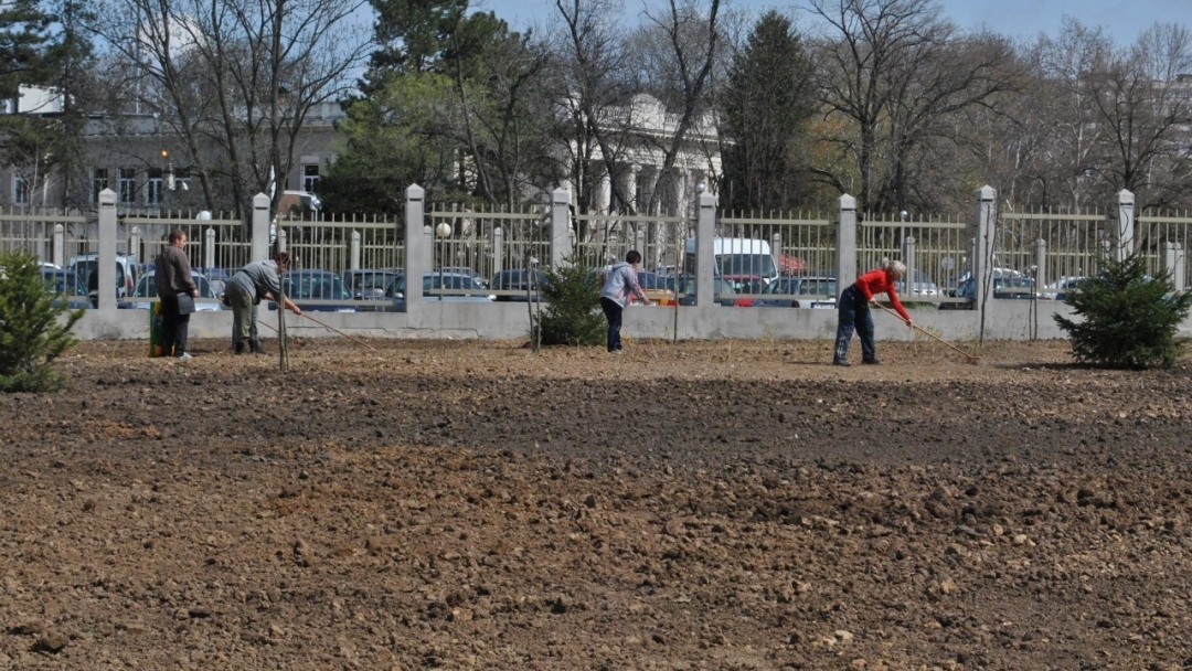 Озелениха новия паркинг в центъра на Русе