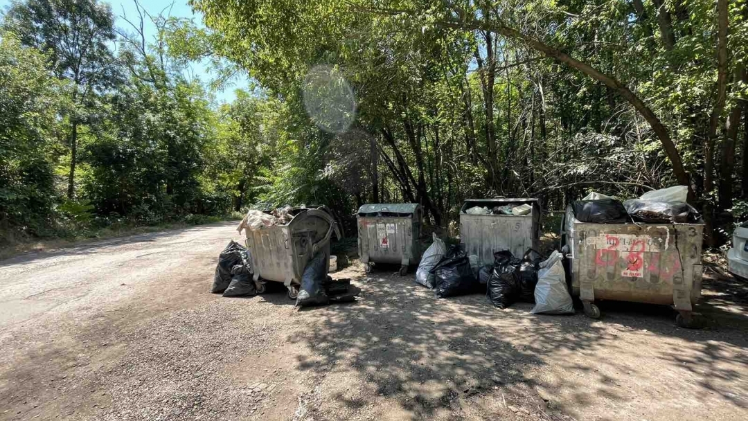 5 контейнера за смет и десетки чували с отпадъци е резултатът от почистването на Западен парк „Приста“. Тази сряда е следващата акция на „зелените посланици“