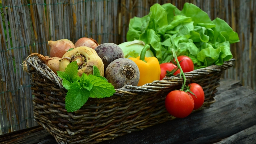 Община Русе обяви обществена поръчка за доставка на хранителни продукти