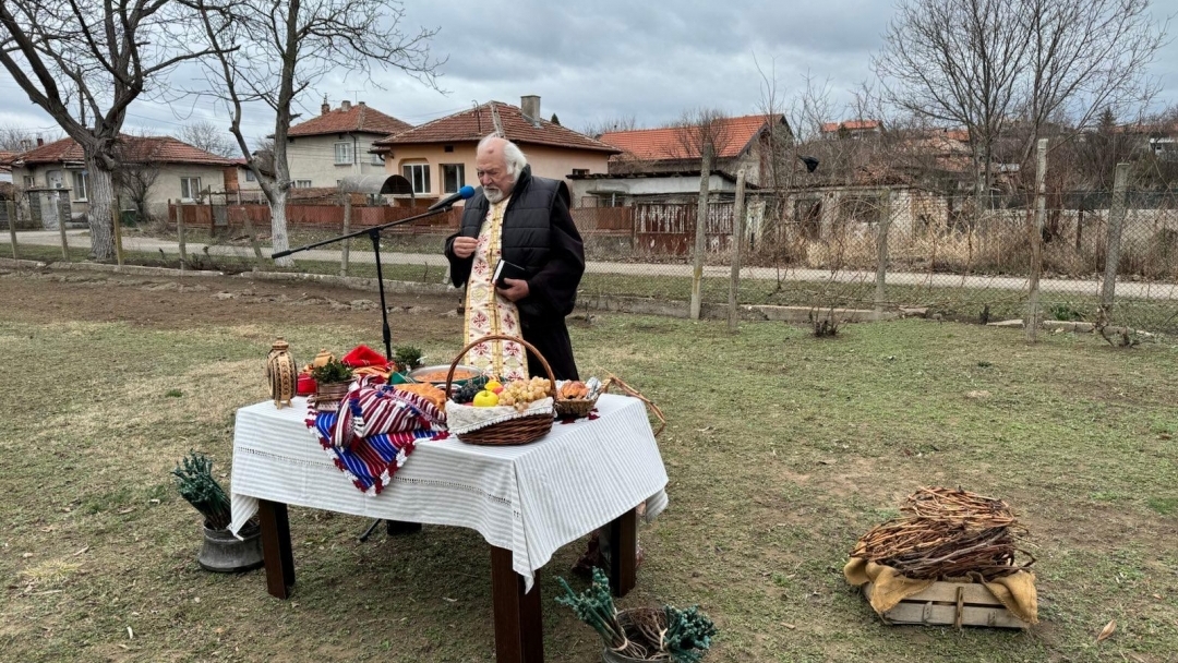 In Sandrovo celebrated the Feast of Wine and Vineyards
