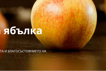  Община Русе номинирана за Награди „Златна ябълка“ 2023 г. за своята социална дейност