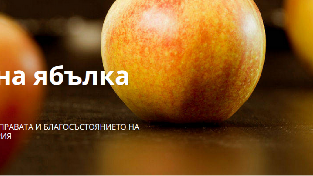  Община Русе номинирана за Награди „Златна ябълка“ 2023 г. за своята социална дейност