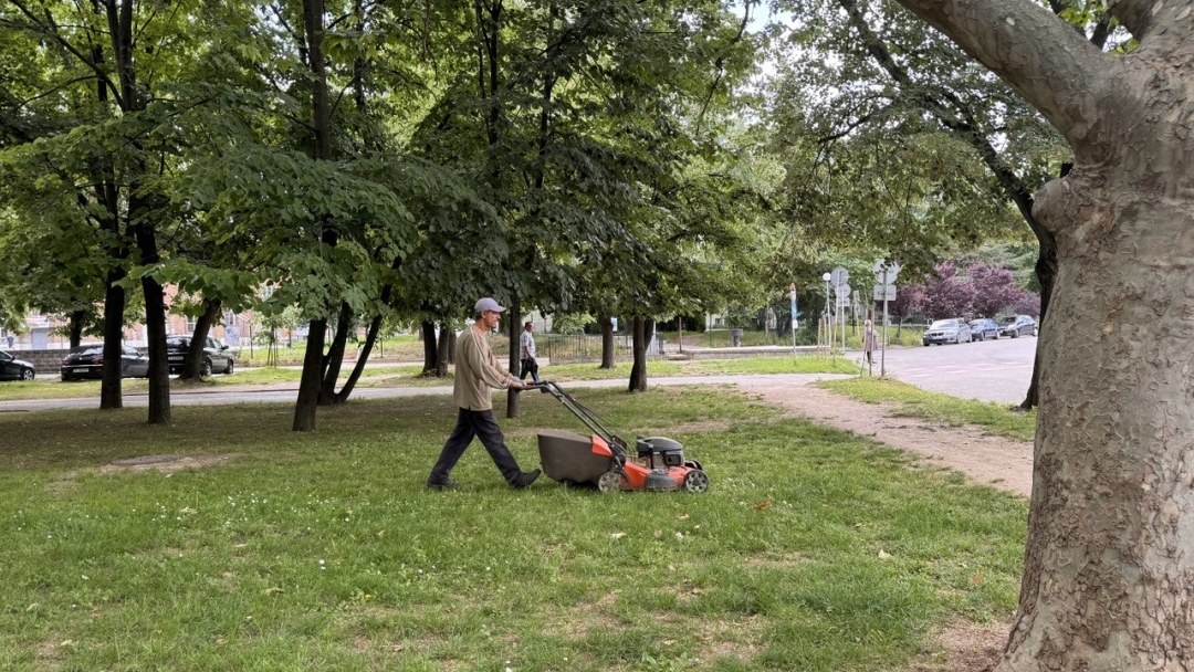 Общинските екипи продължават дейностите по косене на тревните площи в Русе 