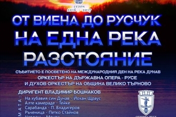 Дунавски мелодии и водни картини на брега на Дунав край Русе