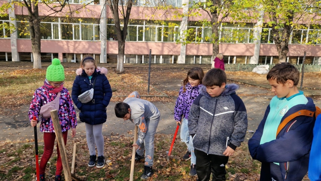 Къщички за прилепи поставиха в двора на русенско училище