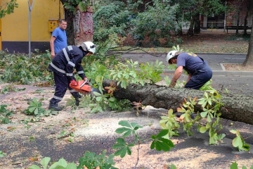 Екипи на Пожарната и общинските служби в Русе отстраняват щетите след мощния шквал 