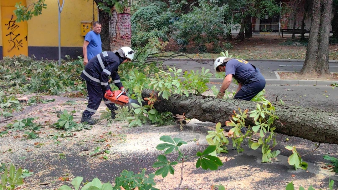 Екипи на Пожарната и общинските служби в Русе отстраняват щетите след мощния шквал 