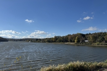 Денонощни патрули на Община Русе, ИАРА и риболовци срещу бракониерите край Николово