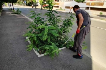 Общинските екипи продължават дейностите по косене на тревните площи в Русе