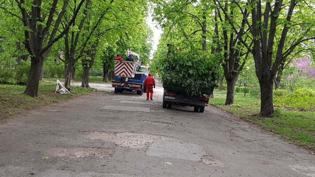 Облагородяването на зелените площи в Русе продължава по график