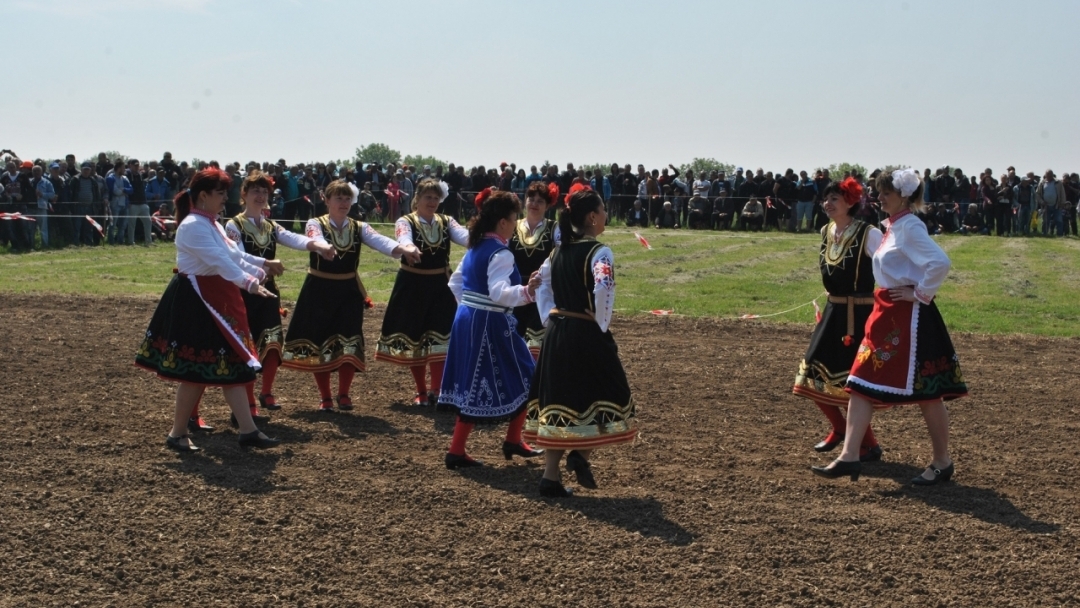 120 елитни коне се състезаваха в село Сандрово